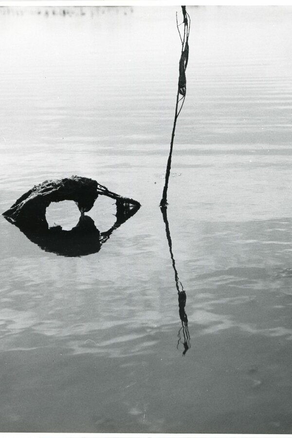 Camargue inconnue, Compagne de Massy, „Creation Photographique“, 18 bis, rue Gambetta, Massy